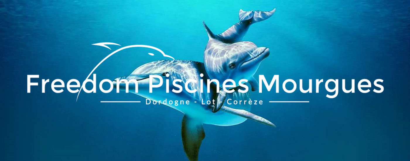 Dauphin retouché.png